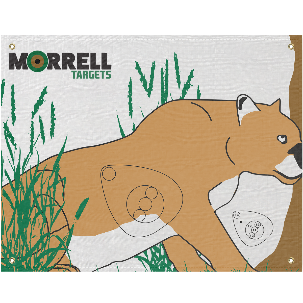 Item_718_Mountain_Lion_USR_120