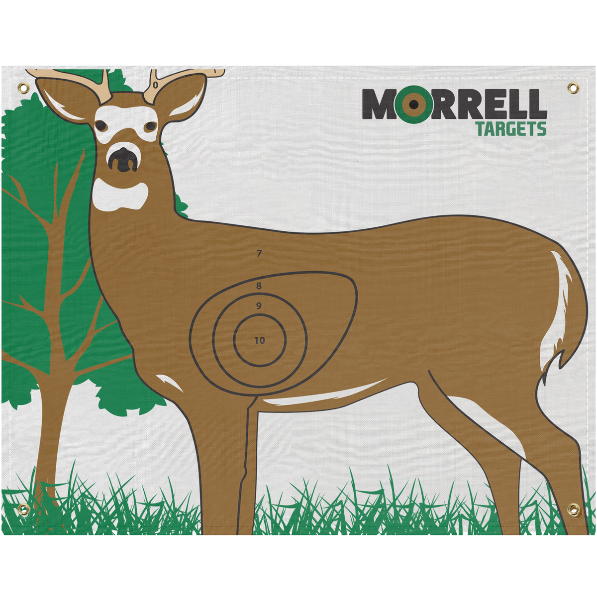 Archery Targets Whitetail Buck I.B.O NASP Polypropylene Target