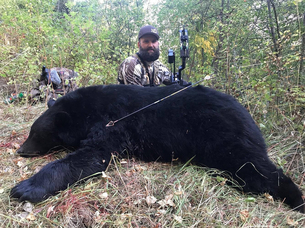 SPOT AND STALK BLACK BEARS