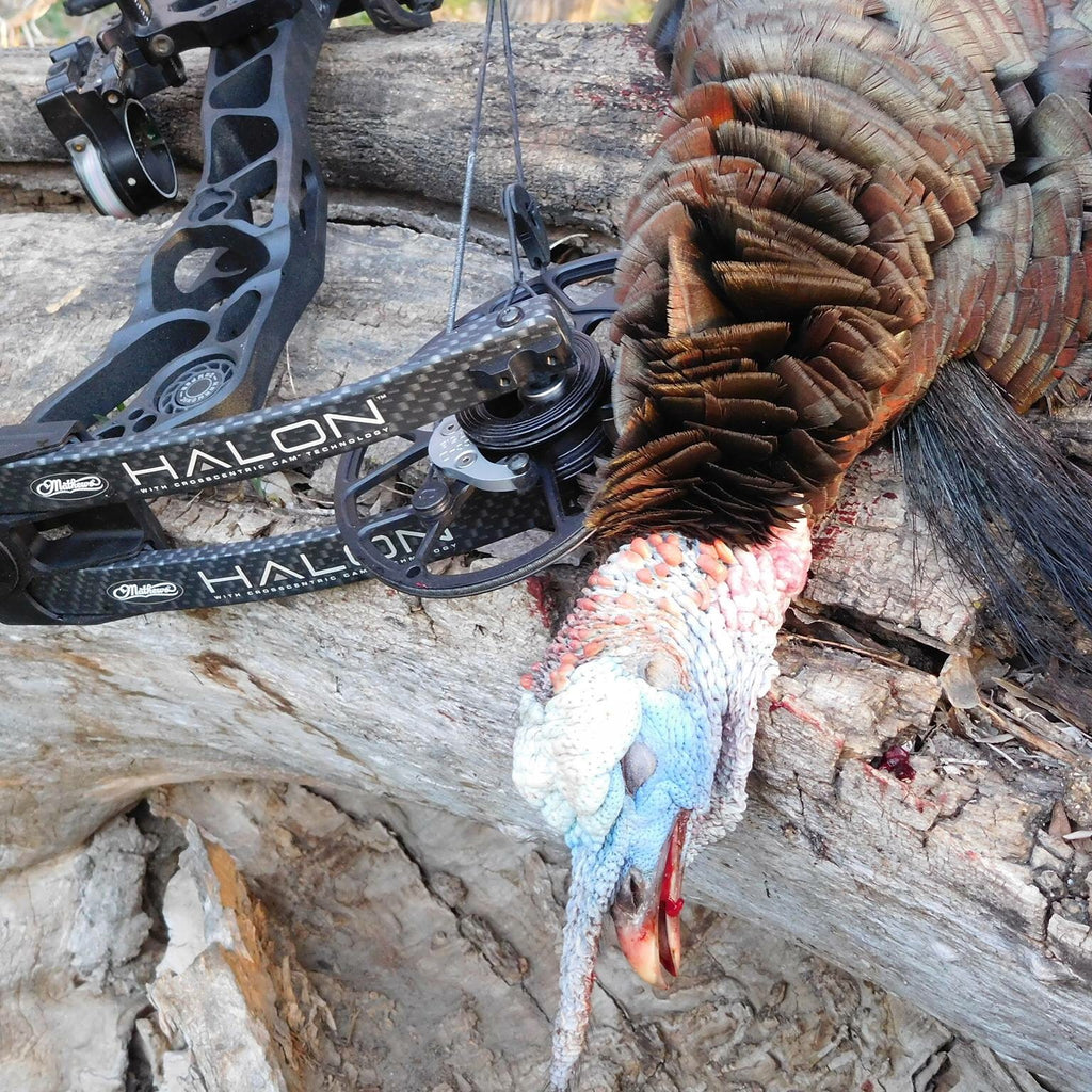 TIPS AND TRICKS THAT WILL HELP YOU TAG A TOM TURKEY WITH A BOW