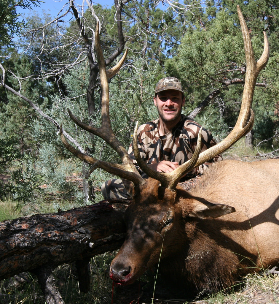 Budget Bulls - Elk hunting on a budget